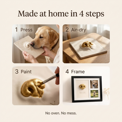 ForeverNose Frame